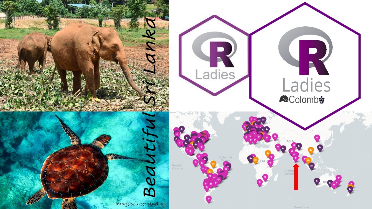 R-Ladies Across Regions